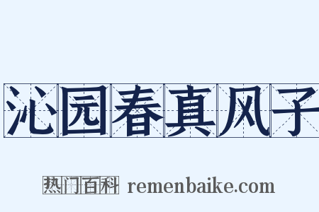 沁园春真风子是什么意思的图片